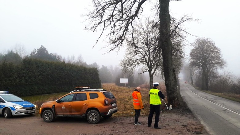 Źródło: pomorska.policja.gov.pl