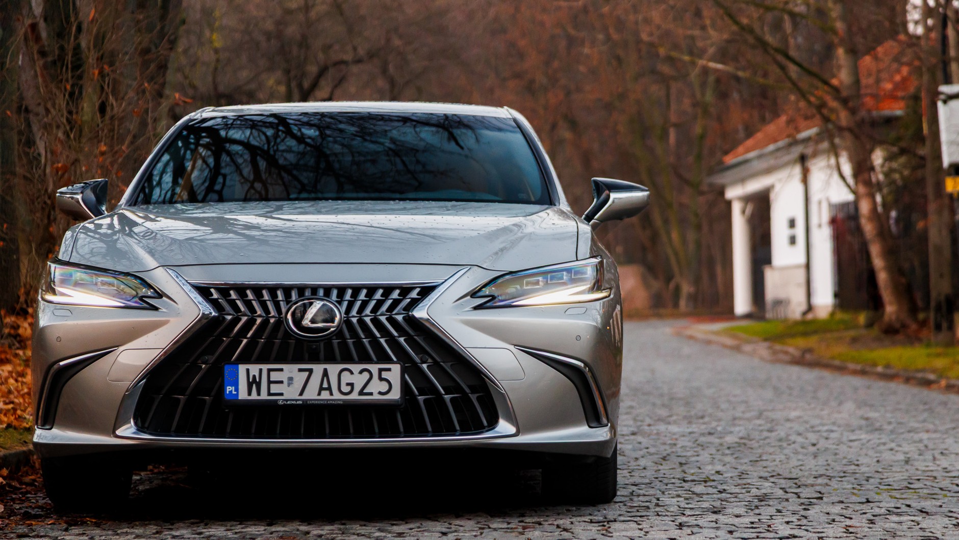 2024 Lexus ES300h