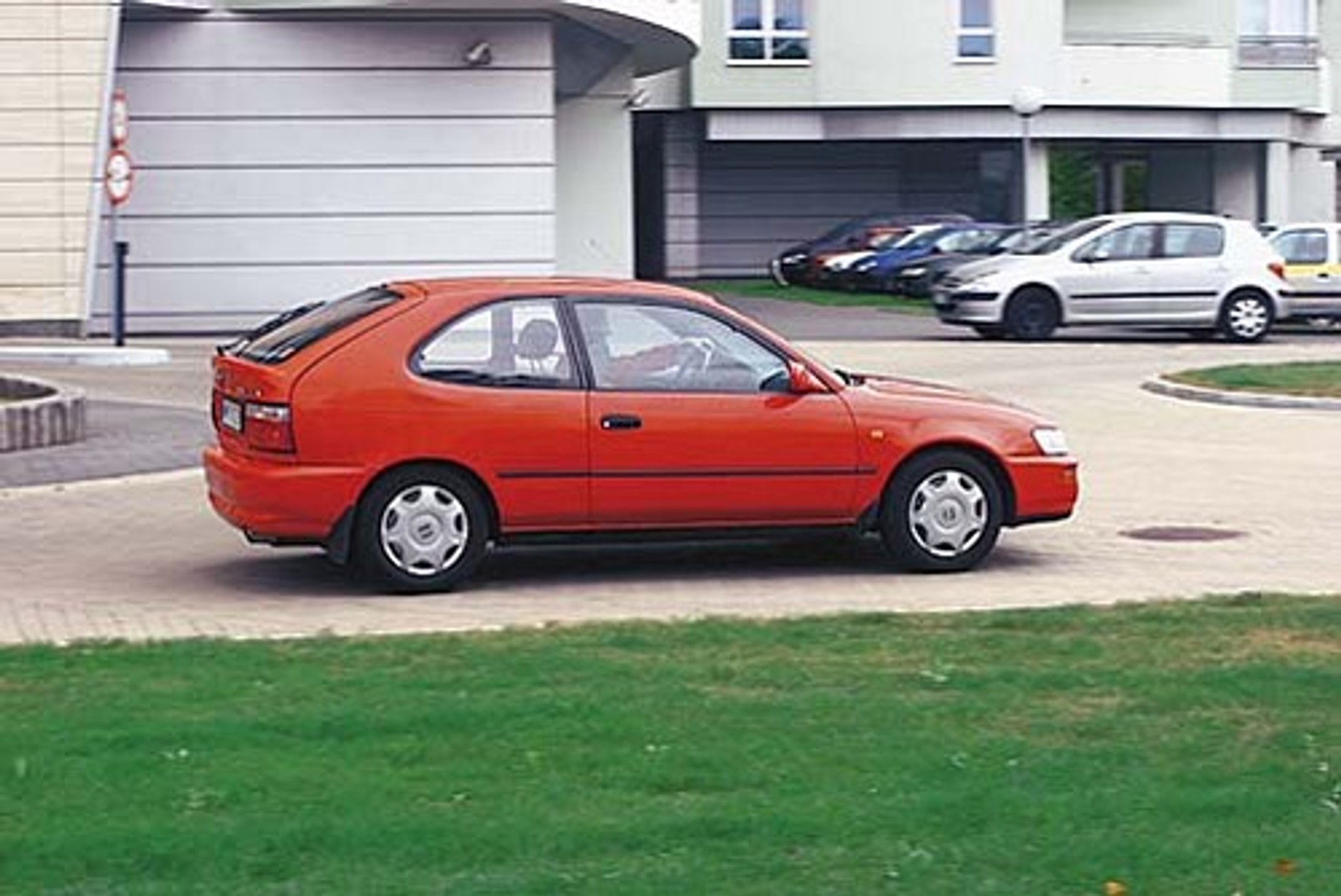 Corolka dla wybrednych