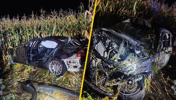 Zderzenie BMW z łosiem. Zginął 24-latek
