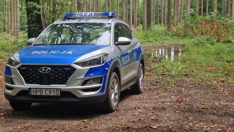 Policja w lesie
