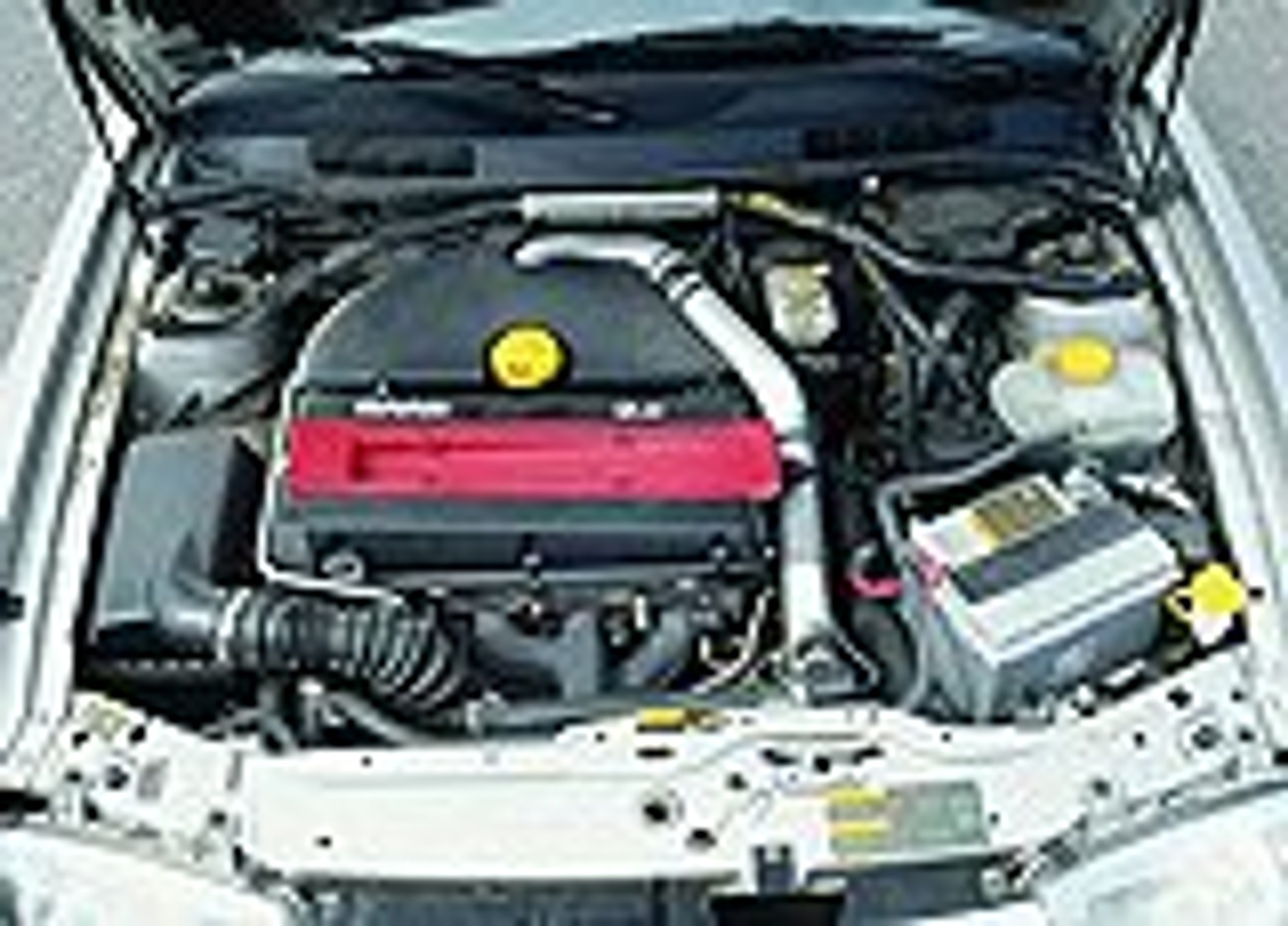 Owca w wilczej skórze?