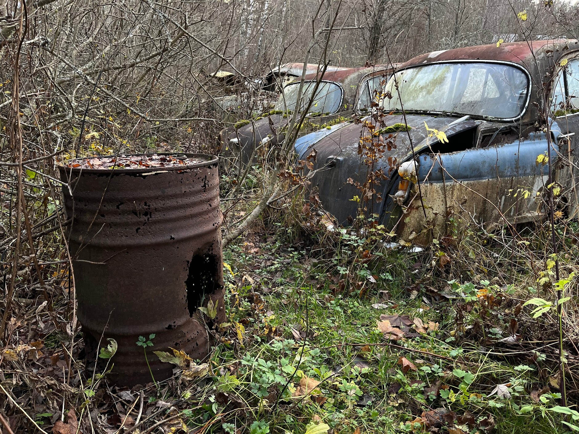 Cmentarzysko samochodów w Bastnas w Szwecji