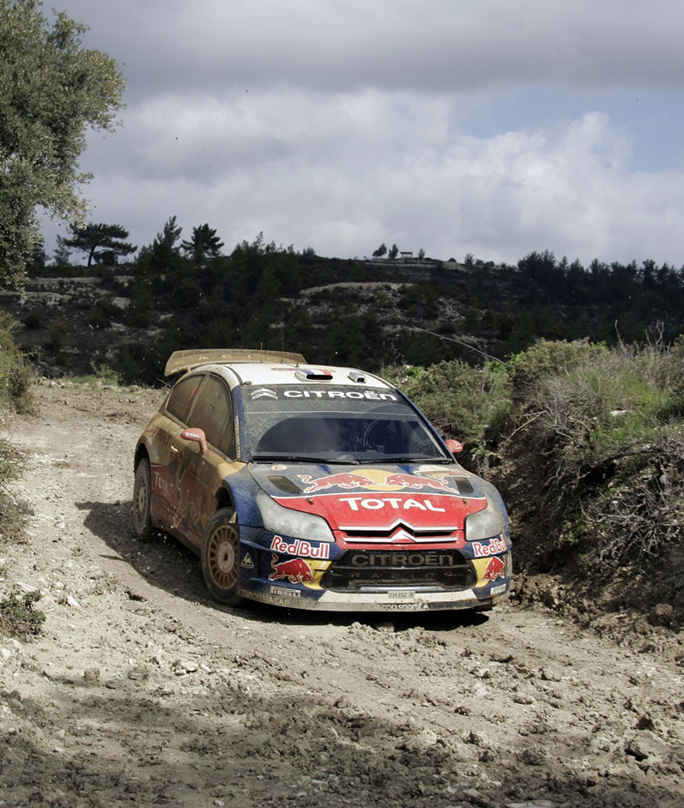 Rajd Cypru 2009: Loeb, Kościuszko i inni (fotogaleria)