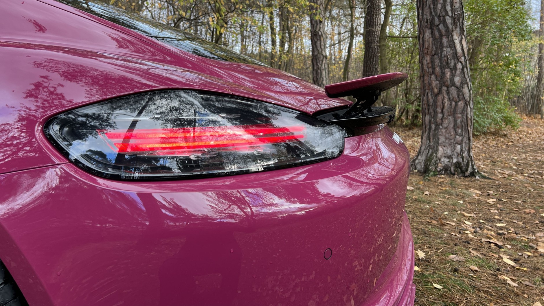 Porsche 718 Cayman Style Edition (kod 982; model z 2023 r.)