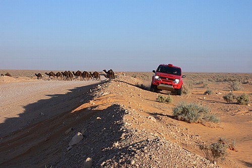 Panda Cross na trasie rajdu "Dakar 2007"