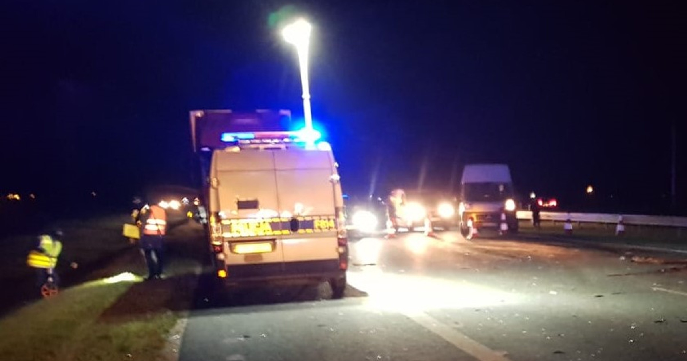 Zderzenie z łosiem na A1