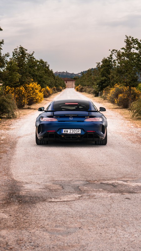 Mercedes AMG GT R