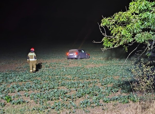 Skoda stała w polu. Kierowca dostał 5 tys. zł mandatu