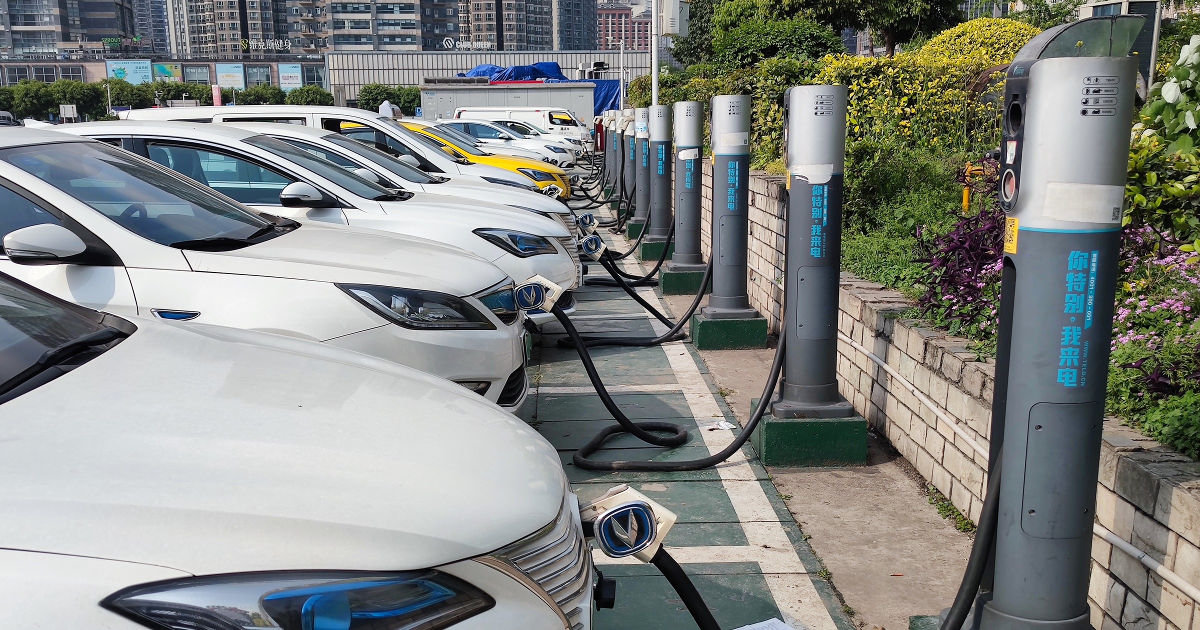 W dziedzinie elektromobilności Chiny wyprzedzają Europę.