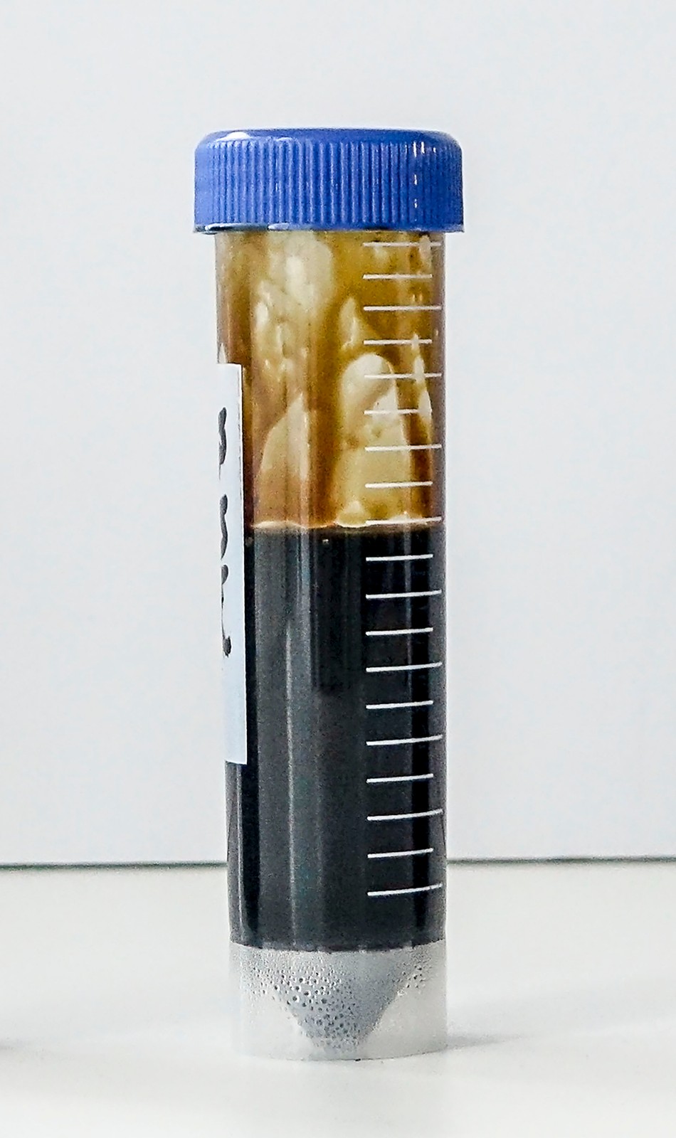 Silnik benzynowy - przebieg auta 190 000 km - przebieg na oleju 17 000 km