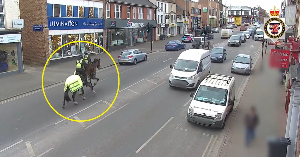 Brytyjscy policjanci gonili kierowcę konno. Jest wideo