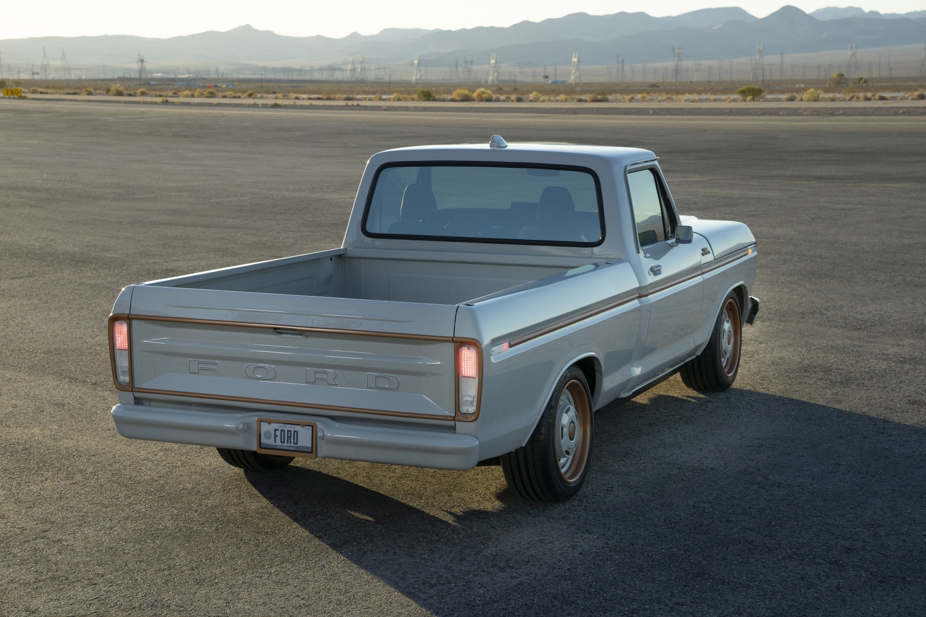 Ford F100 Eluminator