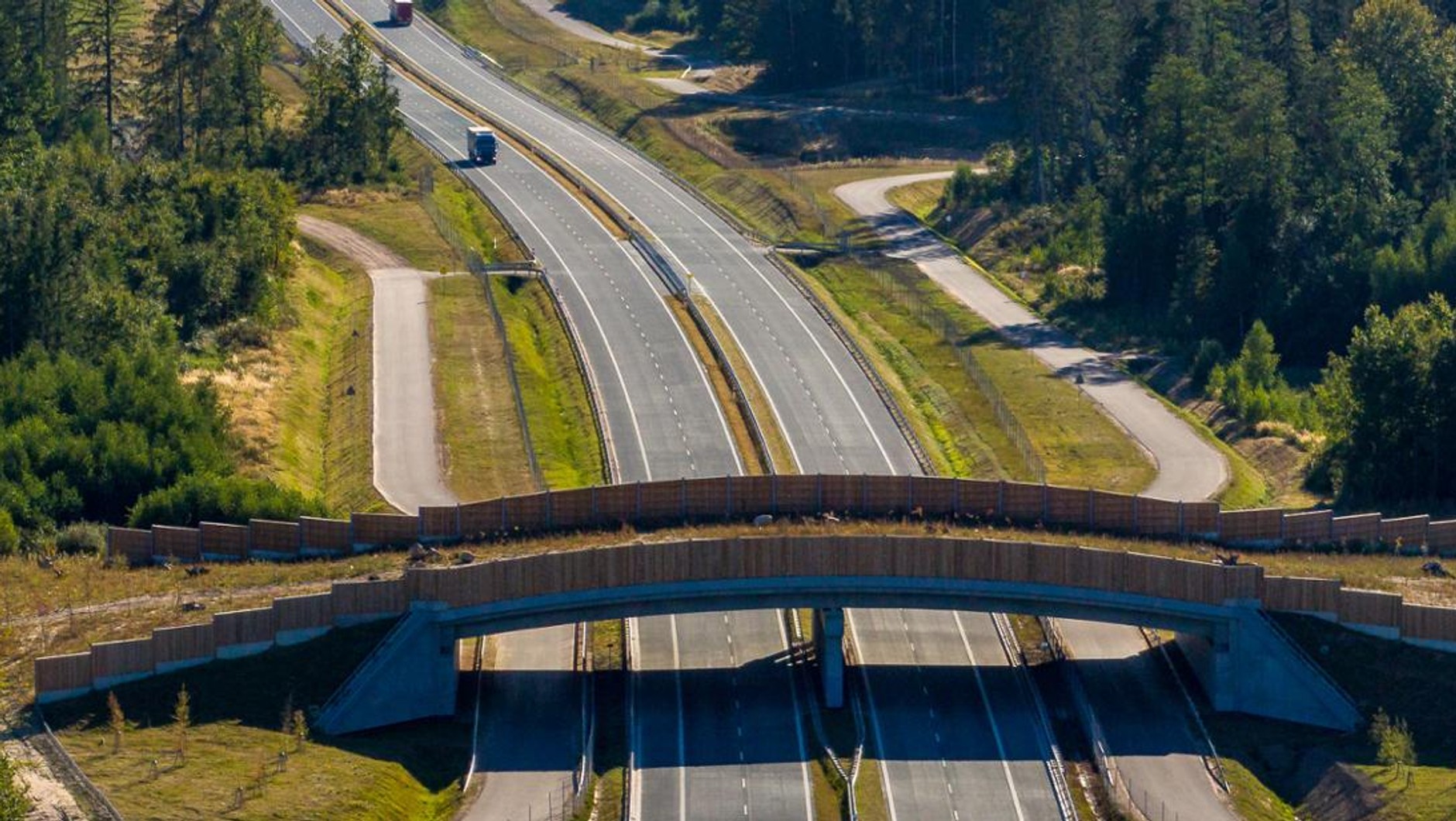 Przejście dla zwierząt nad S61
