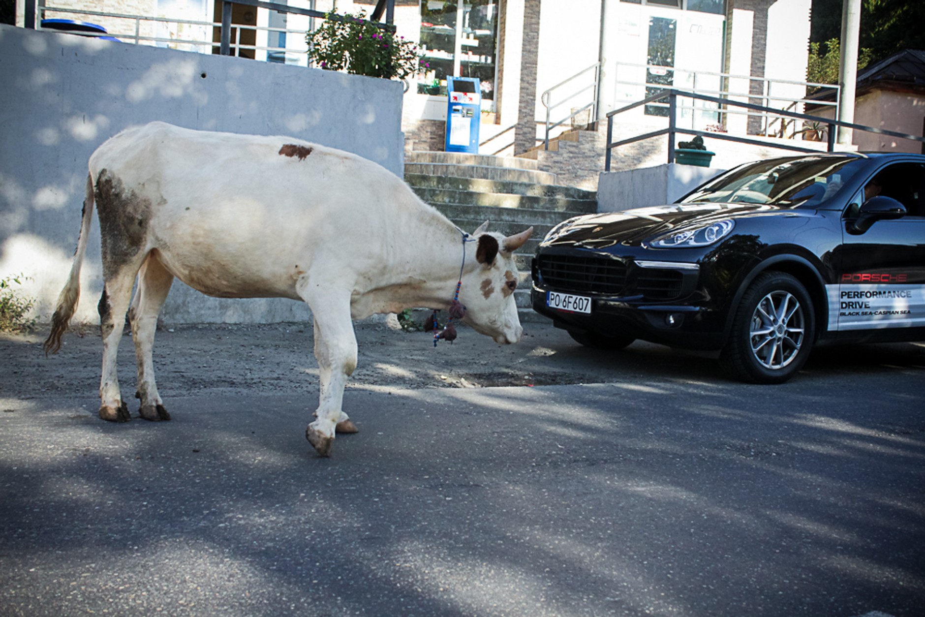 Porsche Cayenne. Luksusowy król bezdroży
