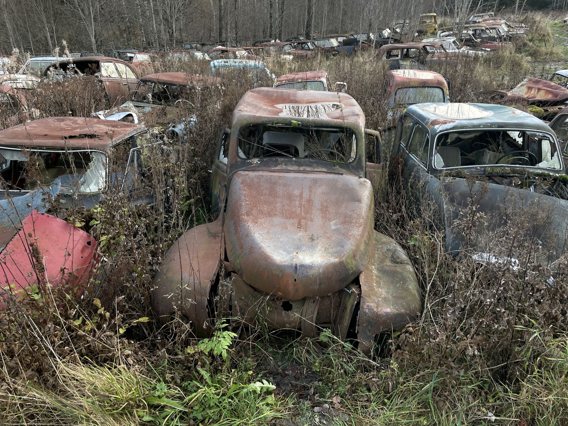 Cmentarzysko samochodów w Bastnas w Szwecji