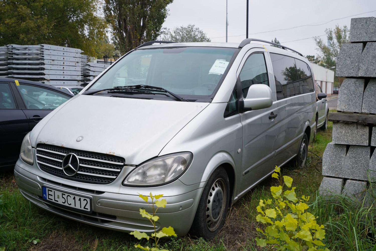 Mercedes Viano
