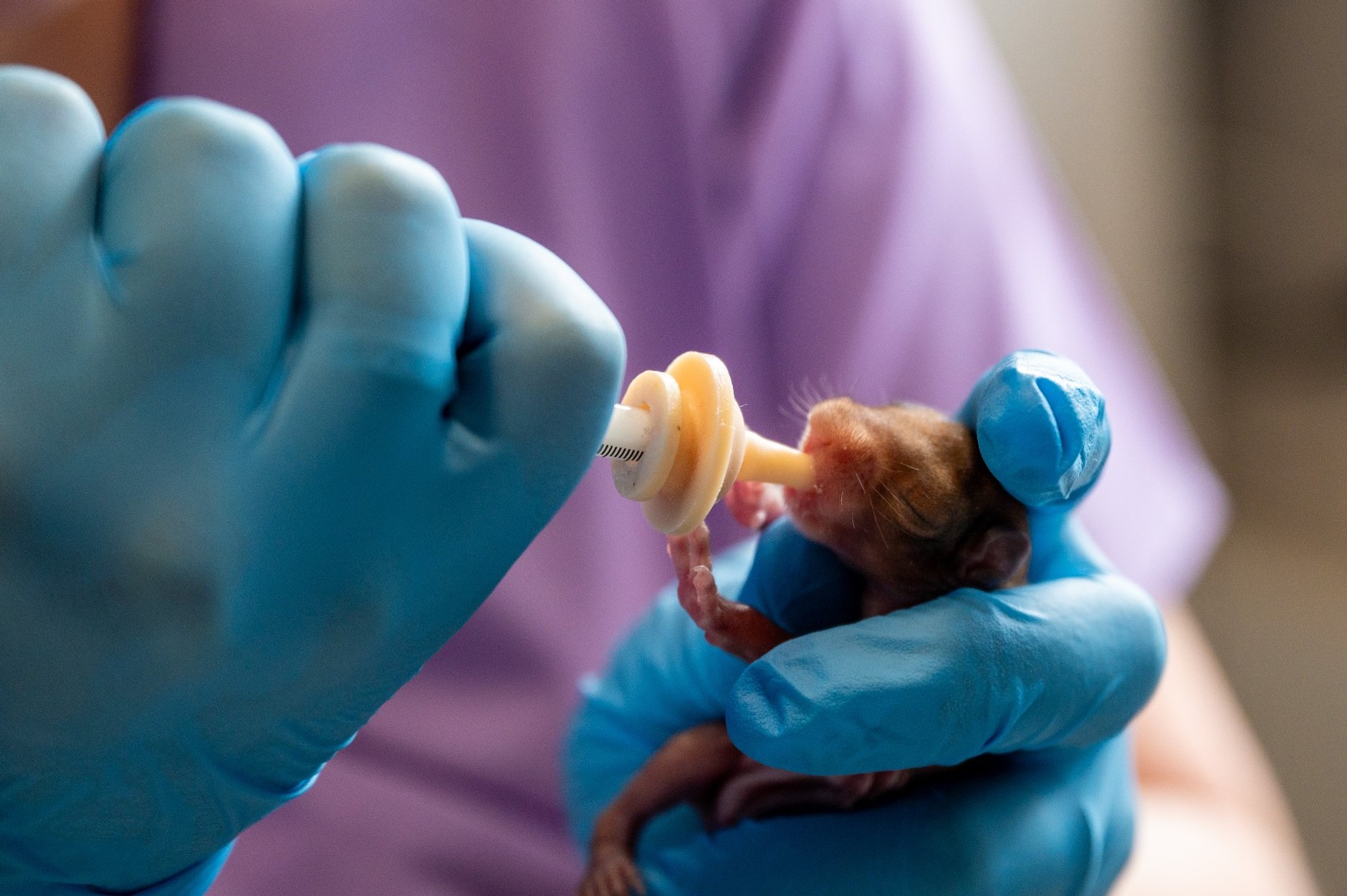 W radiowozach pojawiły się inkubatory. Posłużą specjalnym celom