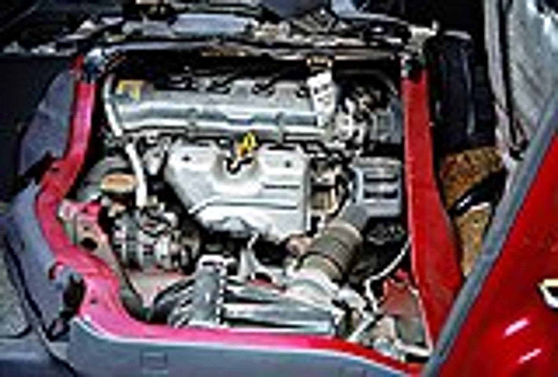 Siedem osób i pies?