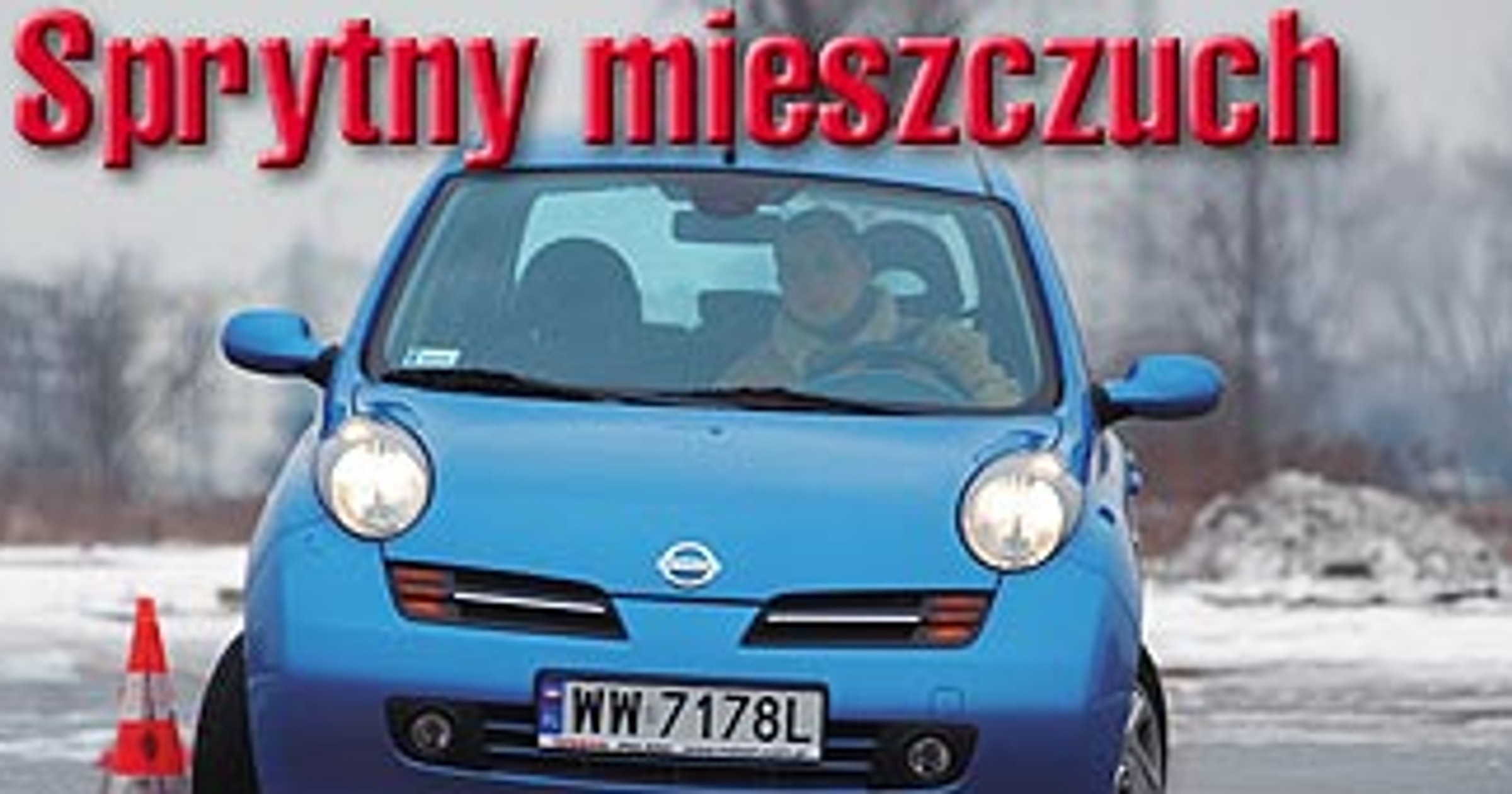 Sprytny mieszczuch