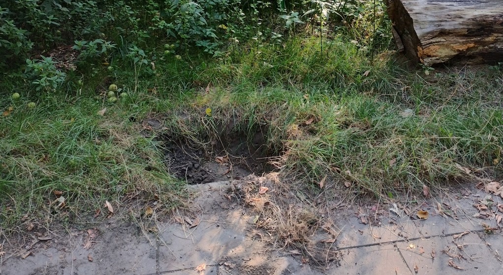 Warszawa. Zarząd Dróg Miejskich przyznał, że skradziono parkomat