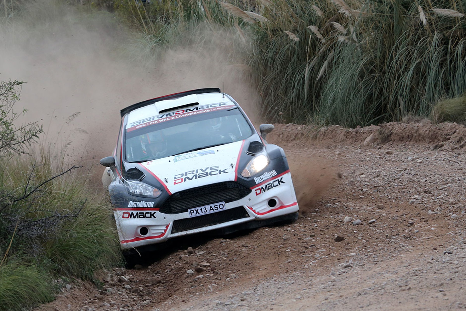 Rally Argentina 2014