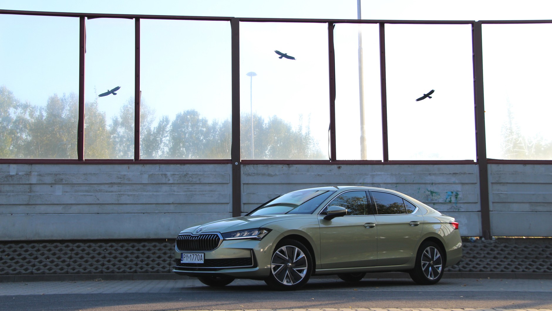 Skoda Superb
