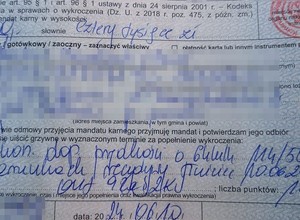 Kierowca Skody zagapił się i nie dość, że stracił "prawko", to jeszcze podwójnie zapłacił