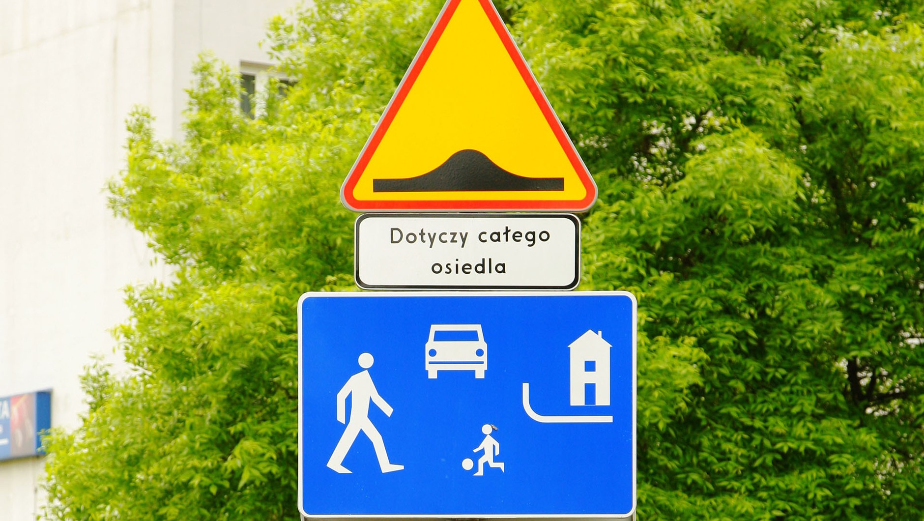 Strefa zamieszkania: na tak oznakowanym odcinku wolno parkować tylko w specjalnie wyznaczonych miejscach.