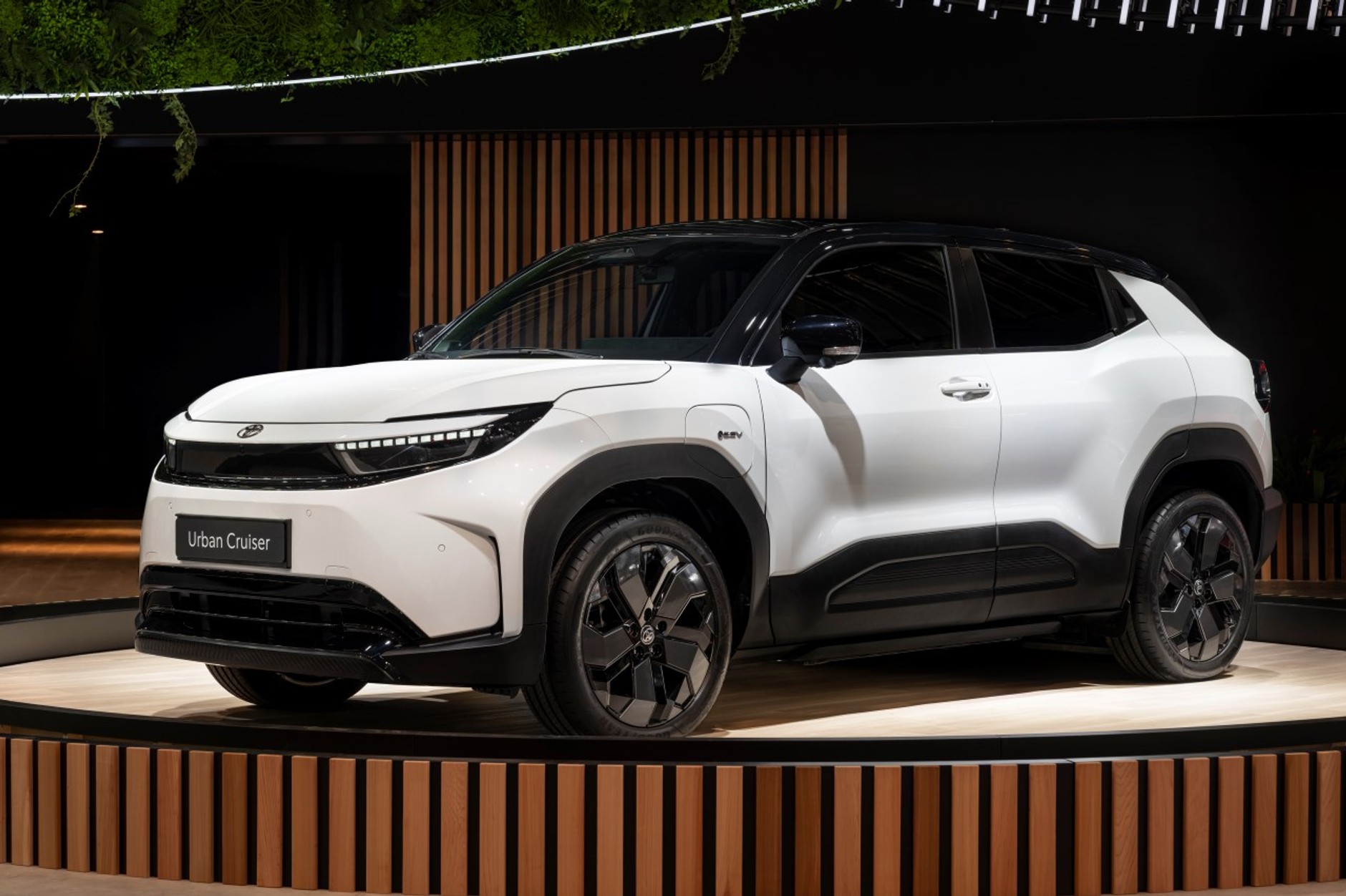 2025 Toyota Urban Cruiser