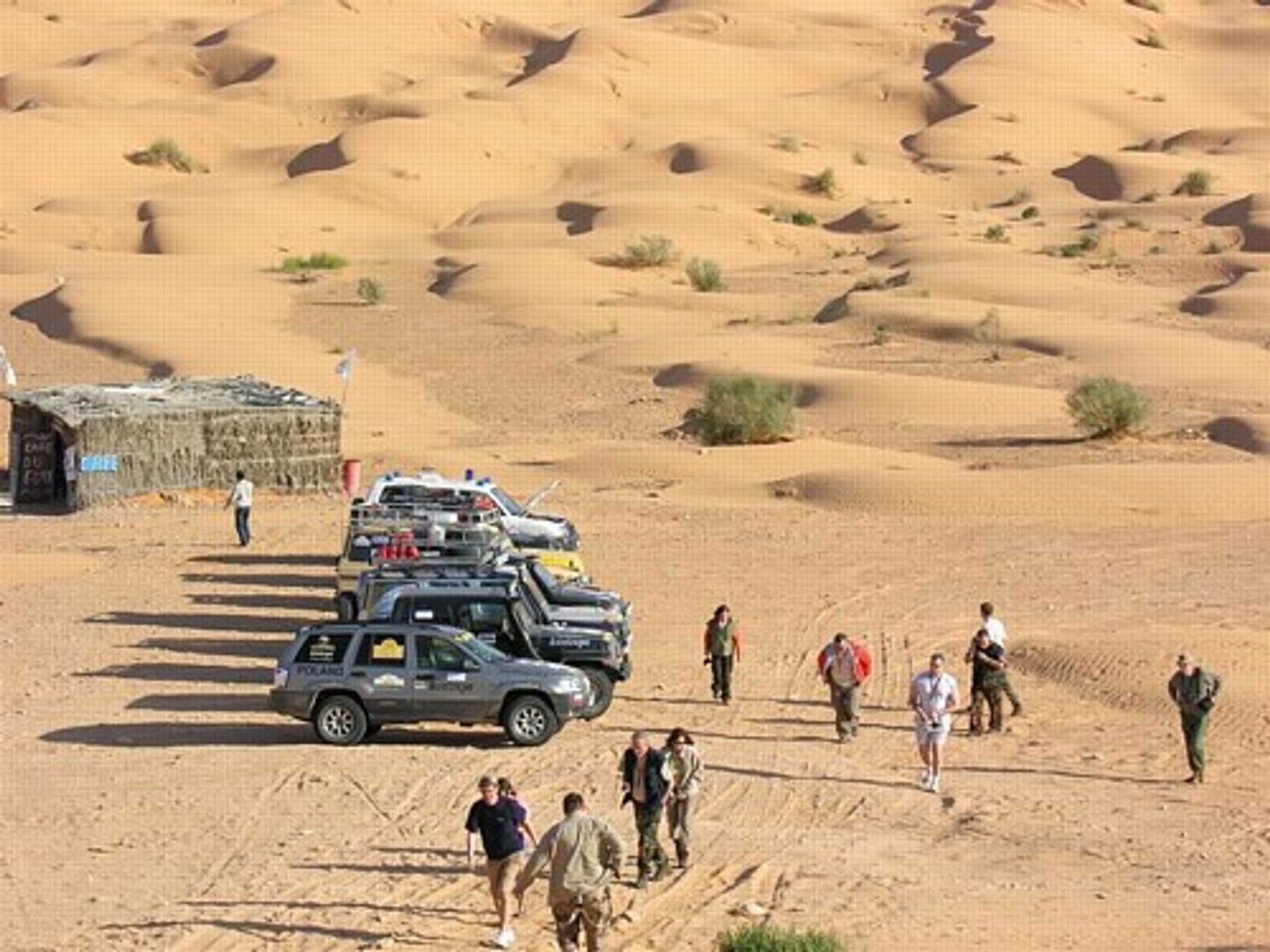 Mistrz 4x4 na piaskach Sahary