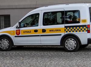 Pouczenie czy mandat? O tym decyduje przypadek i straż miejska