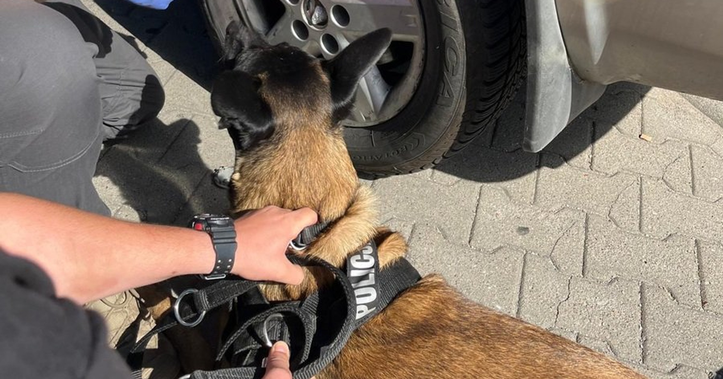 Policjanci dostali zgłoszenie o dziwnym zachowaniu kierowcy. Dowody na wszystko były w aucie