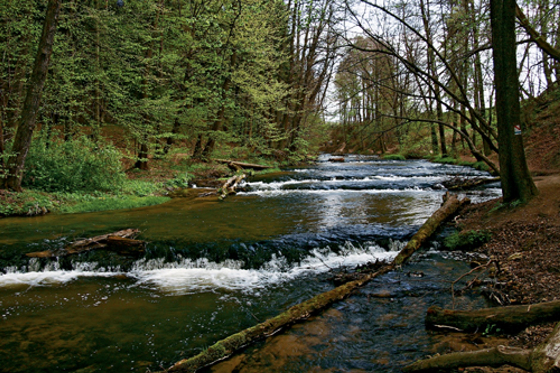 Weekend na Roztoczu wschodnim