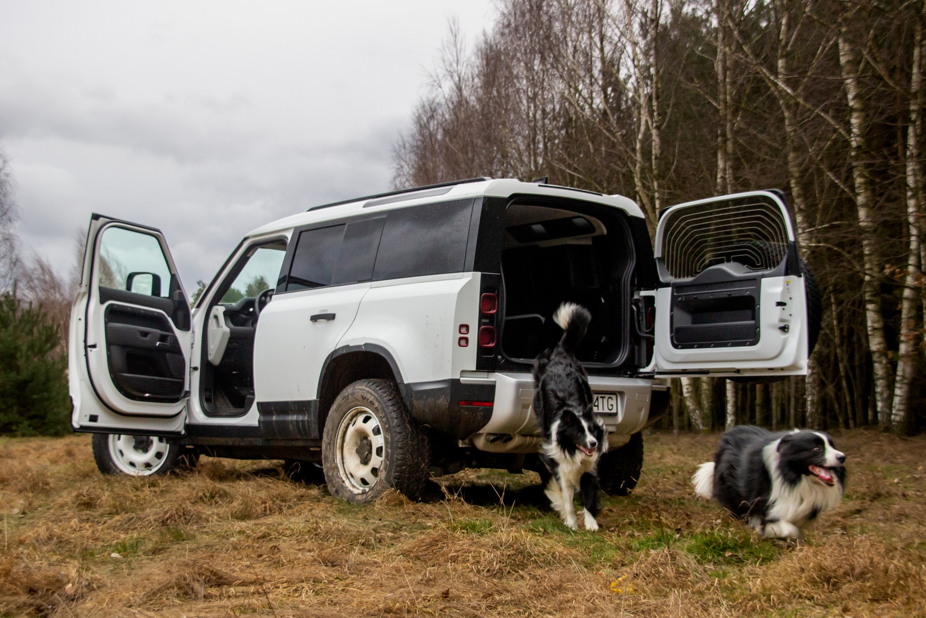 Do teraz jedynymi "dostawczakami" oferowanymi przez Tata Motors w europie były użytkowe wersje Land Roverów, takie jak ten Land Rover Defender Hard Top.