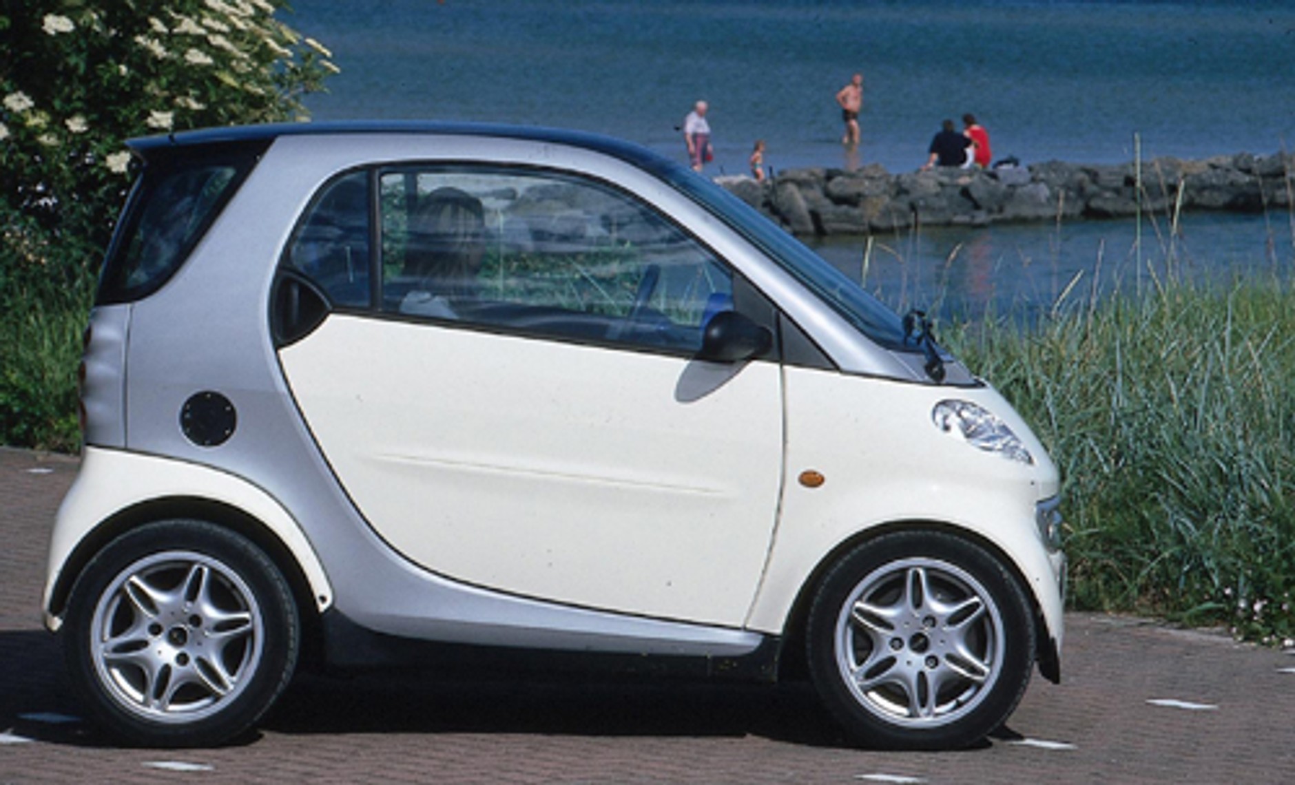 Smart - Sprytny i solidny