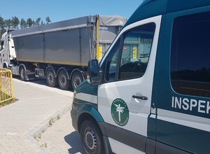 Jechał 40-tonowym zestawem z pszenicą. Tachograf był w trybie "OUT"