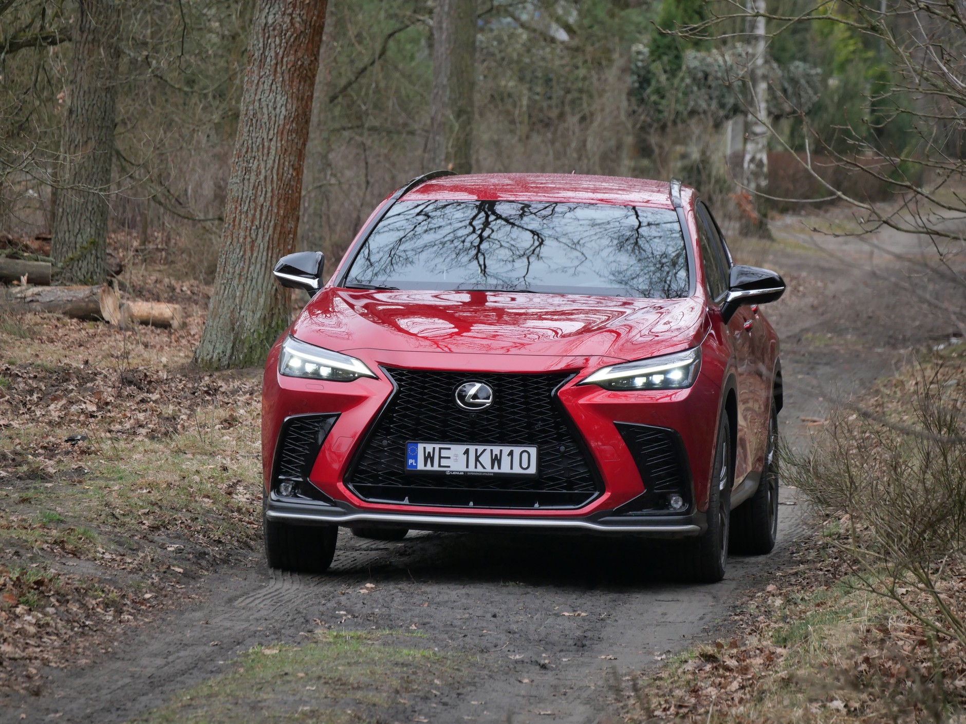 Lexus NX 450H+ F Sport