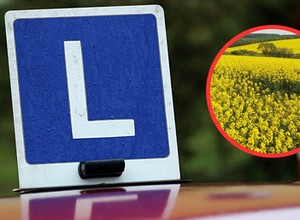 Poszła na egzamin na prawo jazdy i zaginęła. Była nietrzeźwa, ale zdała