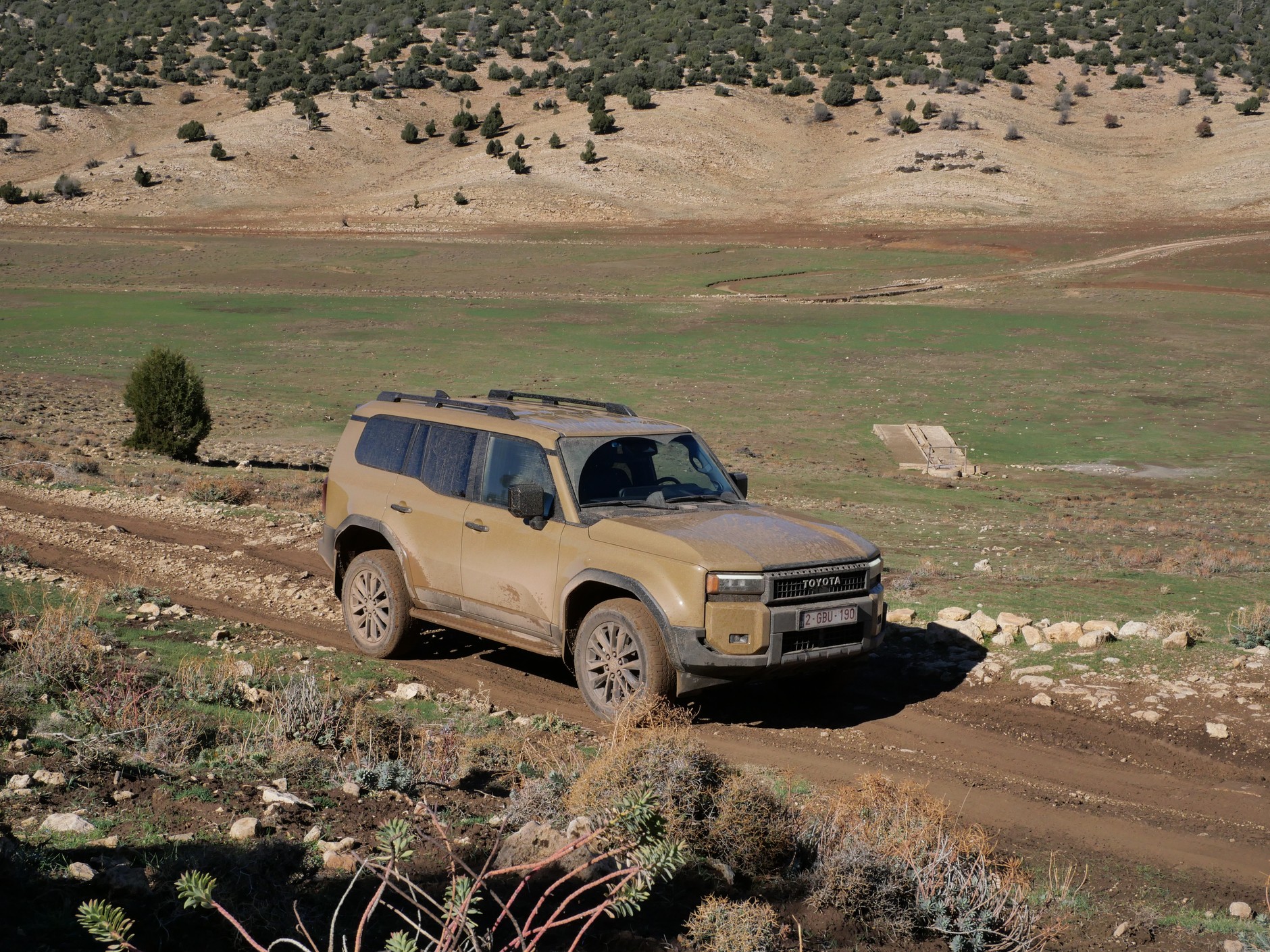 Toyota Land Cruiser 250