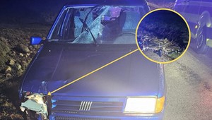 Nie żyje 72-latek, który prowadził rower. Popełnił poważny błąd