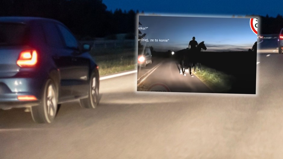Nocą natknął się na drodze na konie. "Odblaski i oświetlenie »parzą«" (Screen: YouTube/Stop Cham)