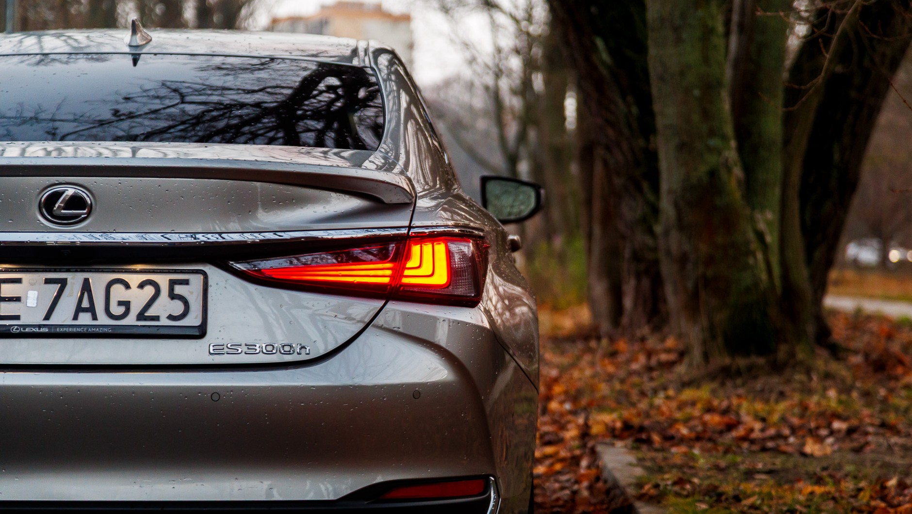2024 Lexus ES300h