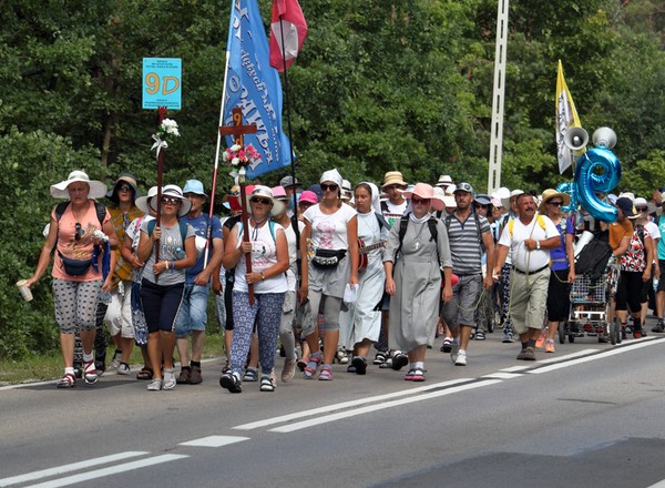 Pielgrzymka na drodze to często wyzwanie dla kierowców. Wielu o tym nie wie