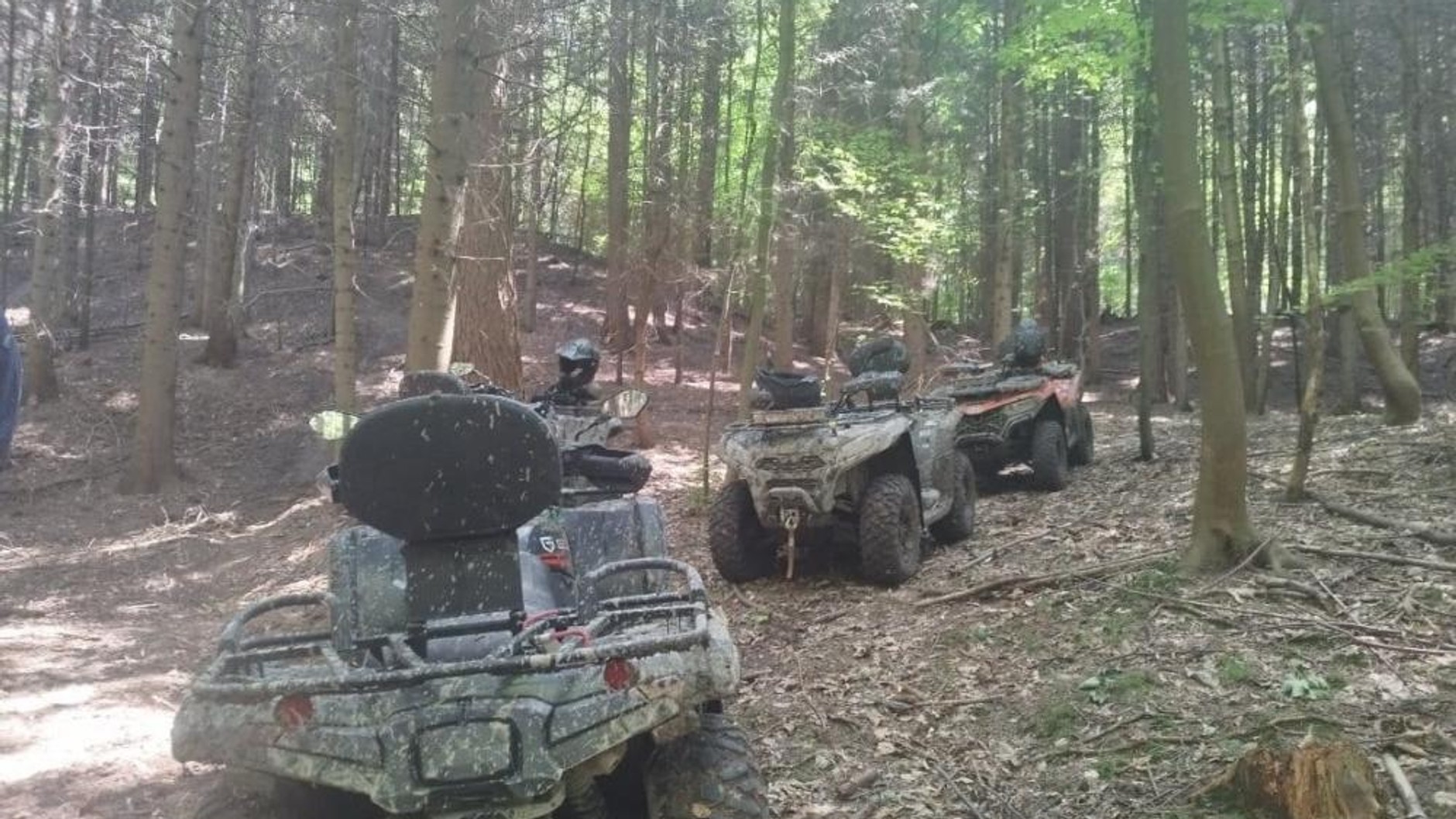 Akcja „Quady 25”