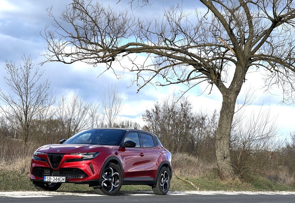 Alfa Romeo Junior
