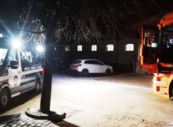 TIR z Rosji wiózł konie na wschód. Bez zezwolenia i przerw w pracy