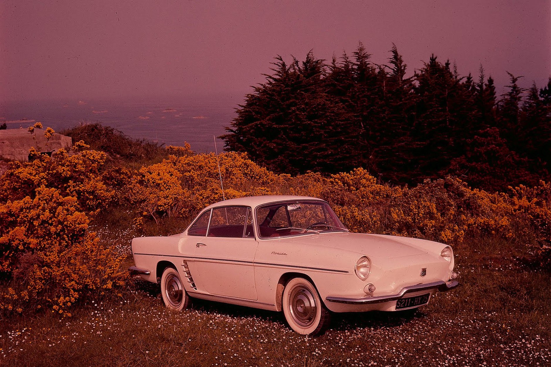 Limitowane Renault Megane Floride