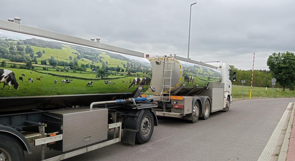 Problemy dla przewoźnika spowodowane przez krowy, które dały za dużo mleka