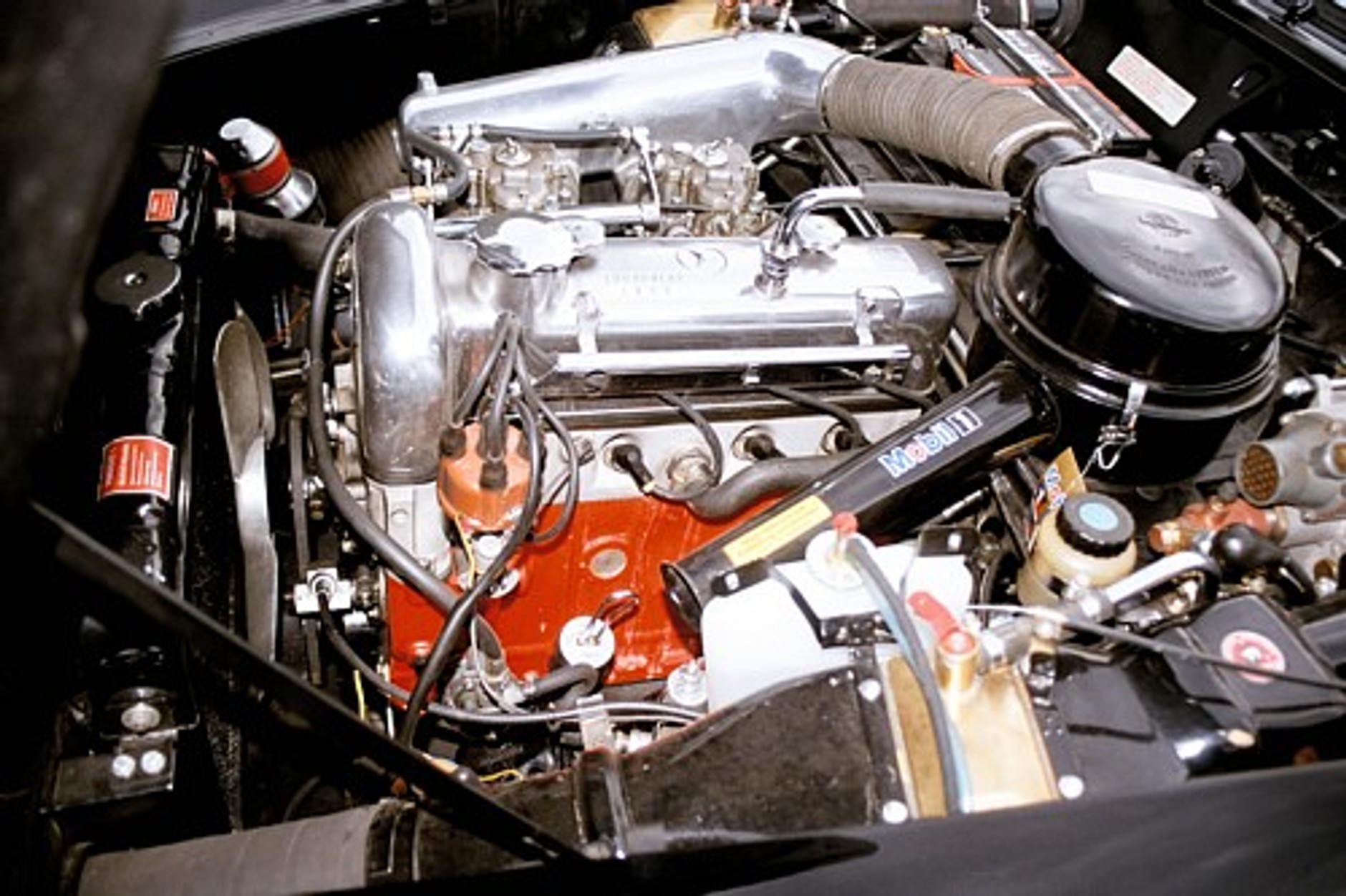 Piękna pięćdziesięciolatka